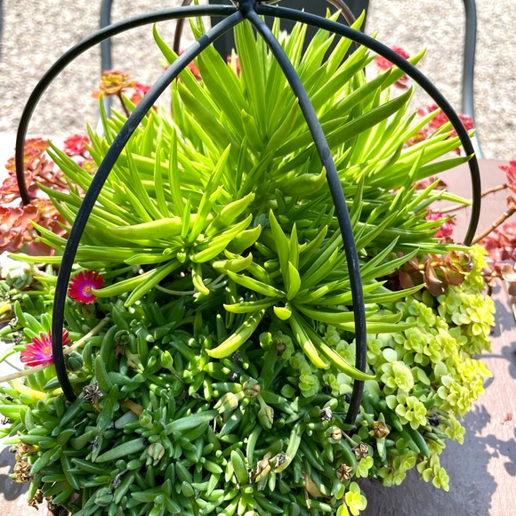 Welcome to my closet! - Picture 1 of 1